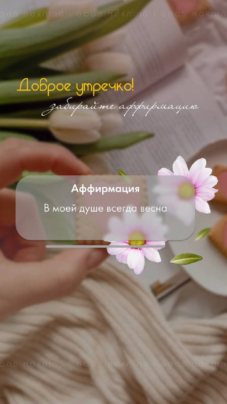 Good morning 🌅 Судьба судьбой, но выбор за